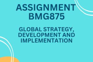 Global Strategy, Development and Implementation